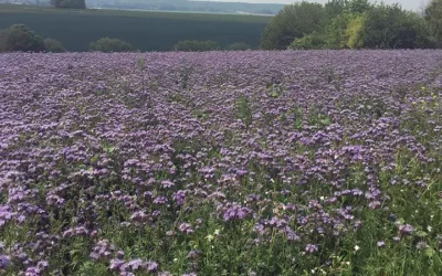 Certification bio de notre ferme