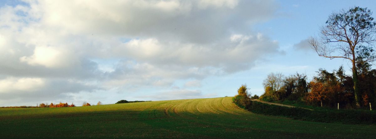 Champ de la Ferme de Pontaly au soleil couchant