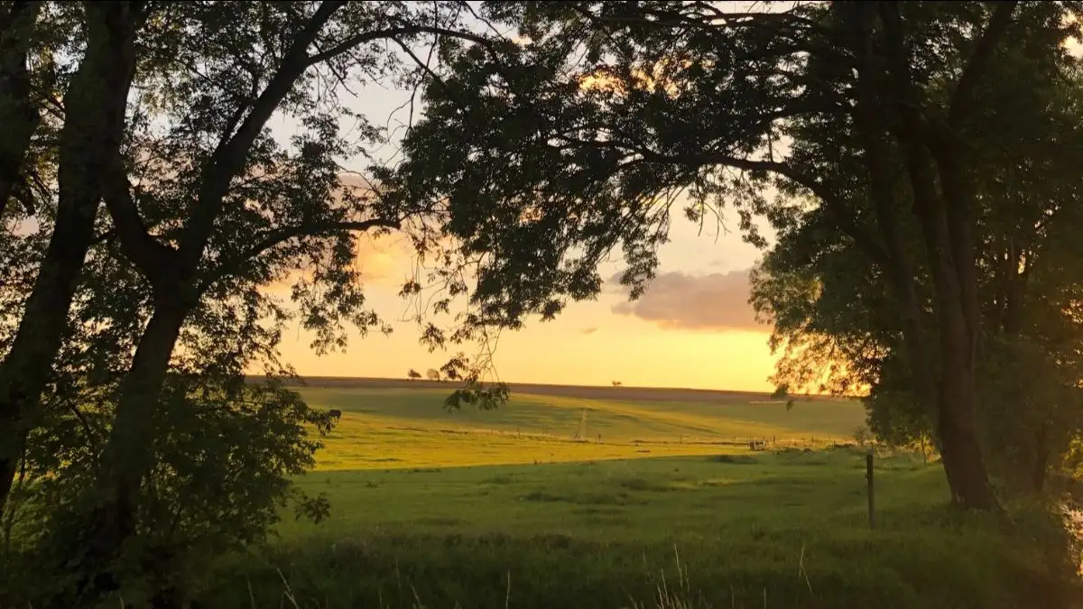 Champ de la Ferme de Pontaly au soleil couchant