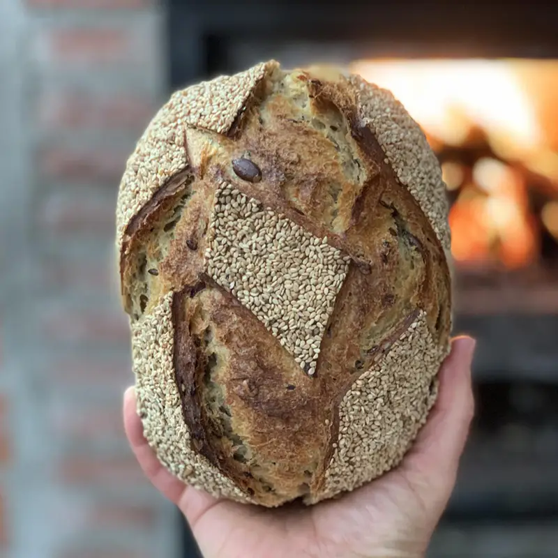 Photo d'une miche de pain aux sésames issue de la boulangerie Epis et Pains, dans les Yvelines