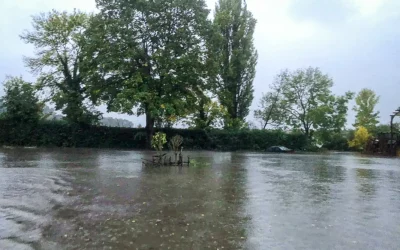 Défis d’Automne à la Ferme de Pontaly : Semis, Récoltes et Résilience Face aux Inondations